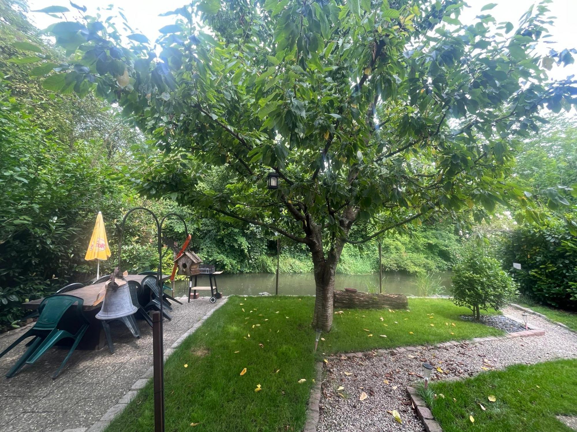 Entre Ville & Campagne Plobsheim Εξωτερικό φωτογραφία