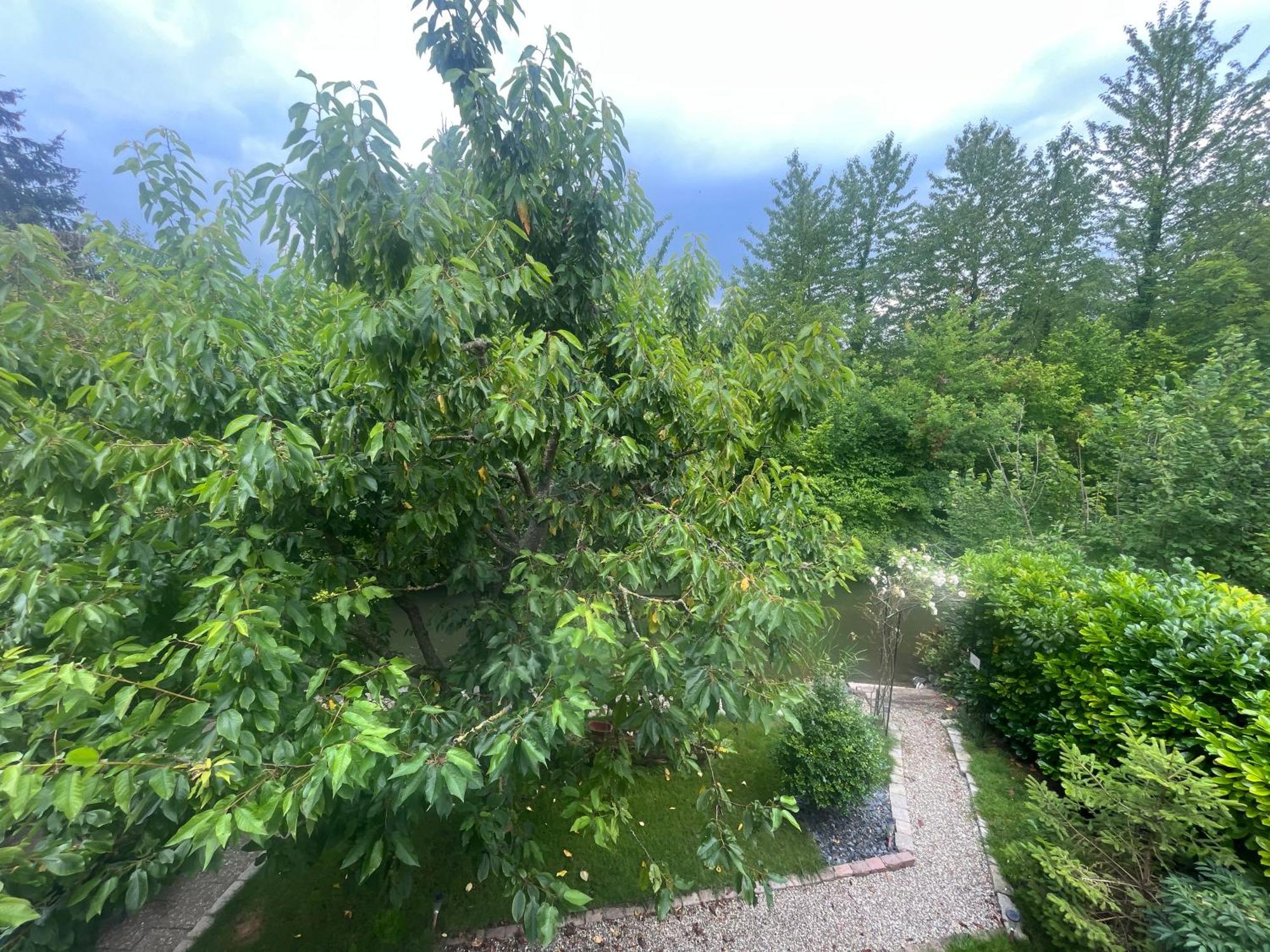 Entre Ville & Campagne Plobsheim Εξωτερικό φωτογραφία
